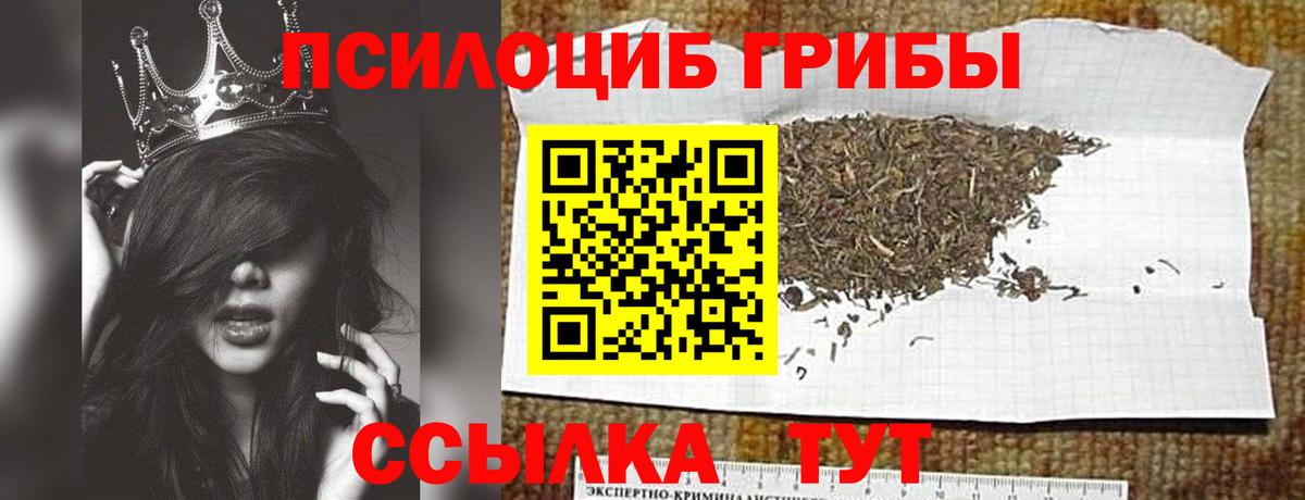 где продают наркотики  Вход с VPN  Амурск  Галлюциногенные грибы мицелий 