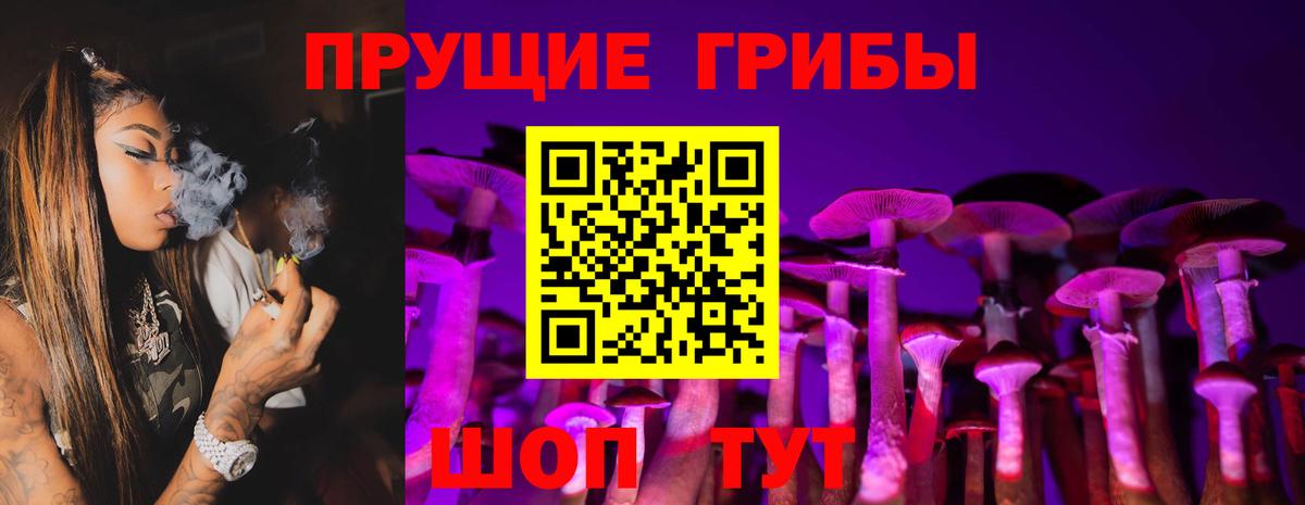 Псилоцибиновые грибы ЛСД Амурск
